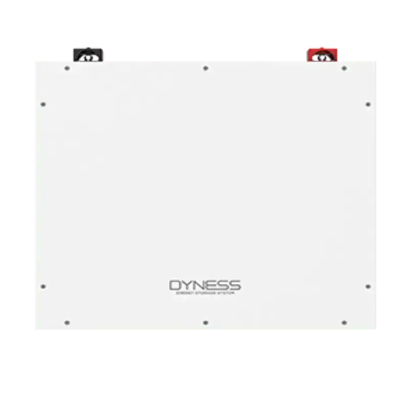 Dyness Lithiumion Battery DL 5.0C - 100Ah with Wi - Fi - The Saver Hub