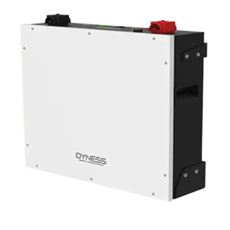 Dyness Lithiumion Battery DL 5.0C - 100Ah with Wi - Fi - The Saver Hub