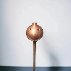 Solar Lightning Arrester - The Saver Hub