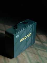 Anicsun Lithium-ion Battery — 25.6V, 100Ah, IP54 with built-in Wi-Fi